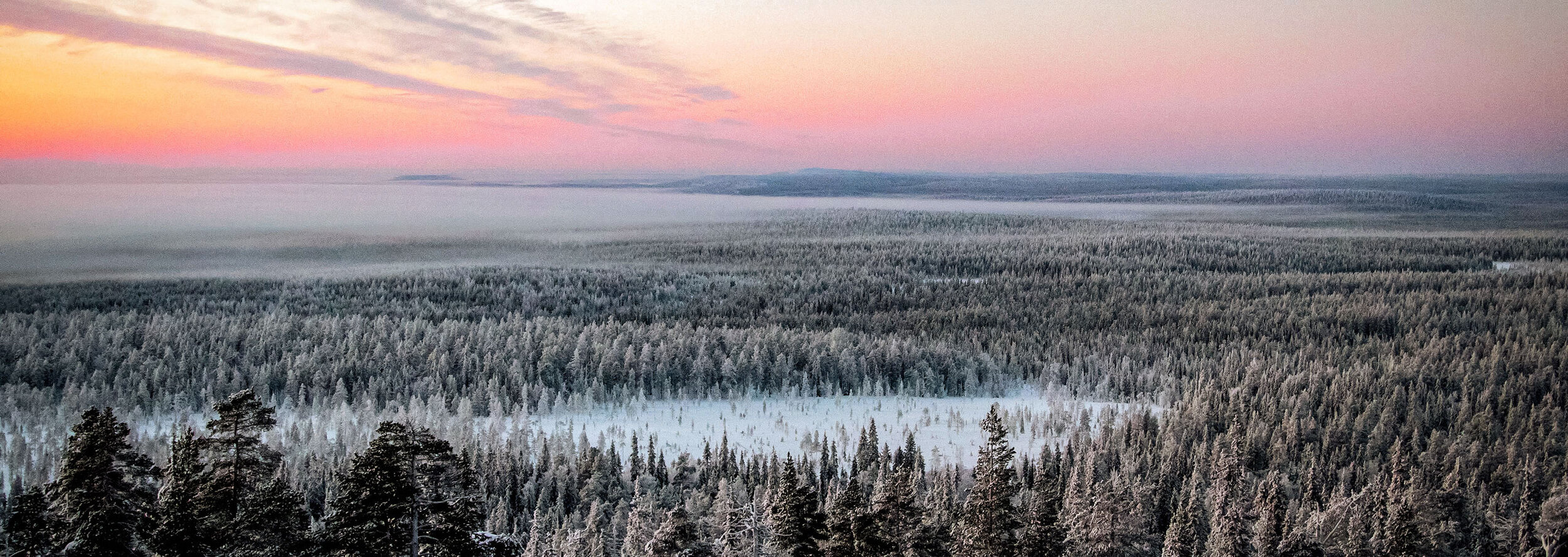 Kronogård från ovan