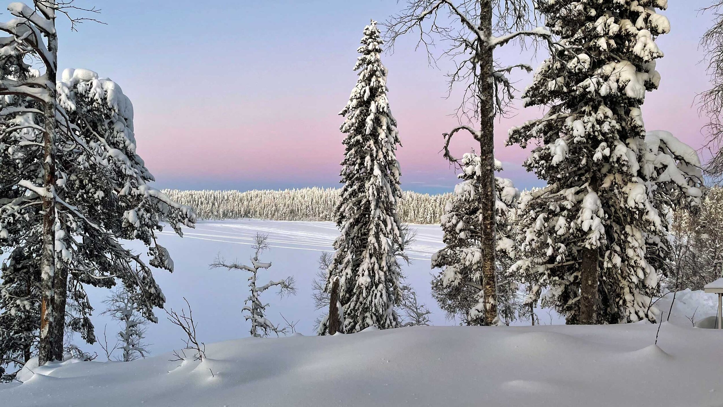 Natur i Kronogård